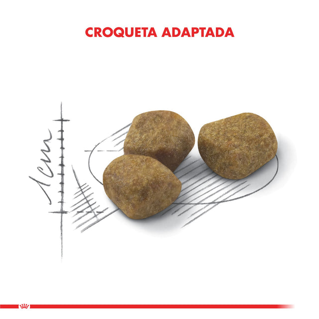 Royal Canin Indoor 7 7 5Kg  Royal Canin Indoor 7 7 5Kg