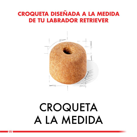 Alimento para Perros Royal Canin Labrador Retriever Adulto 12Kg Alimento para Perros Royal Canin Labrador Retriever Adulto 12Kg