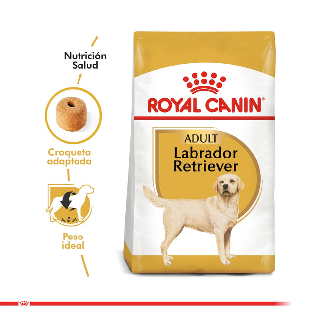 Royal Canin Labrador Retriever Adulto 12Kg Royal Canin Labrador Retriever Adulto 12Kg