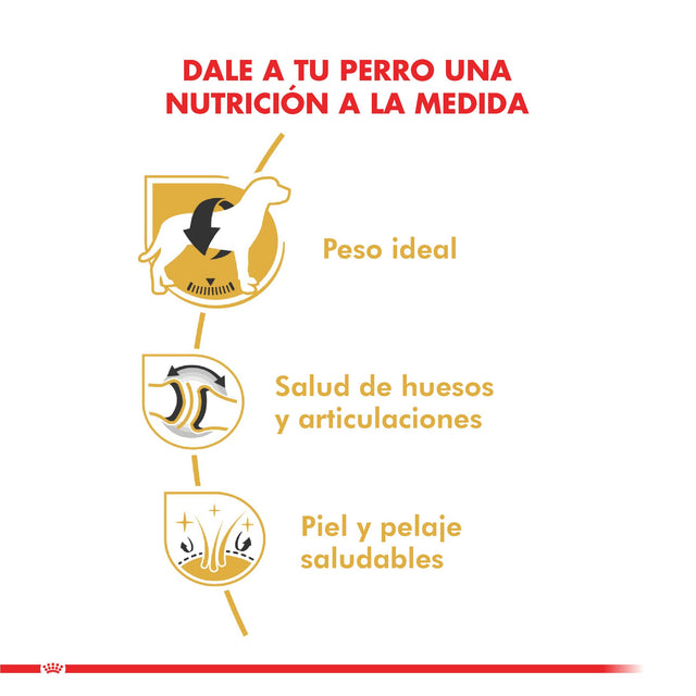 Royal Canin Labrador Retriever Adulto 12Kg Royal Canin Labrador Retriever Adulto 12Kg