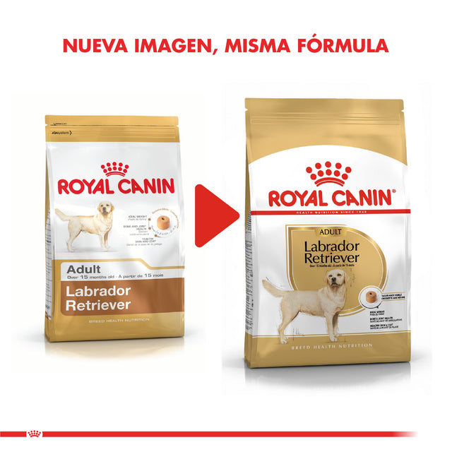 Royal Canin Labrador Retriever Adulto 12Kg Royal Canin Labrador Retriever Adulto 12Kg