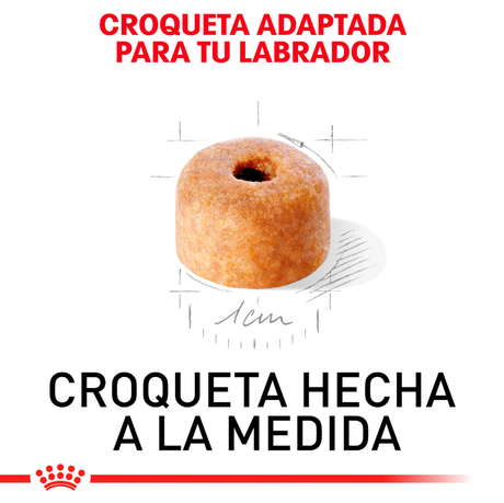 Alimento para Perros Royal Canin Labrador Retriever Junior 12Kg Alimento para Perros Royal Canin Labrador Retriever Junior 12Kg