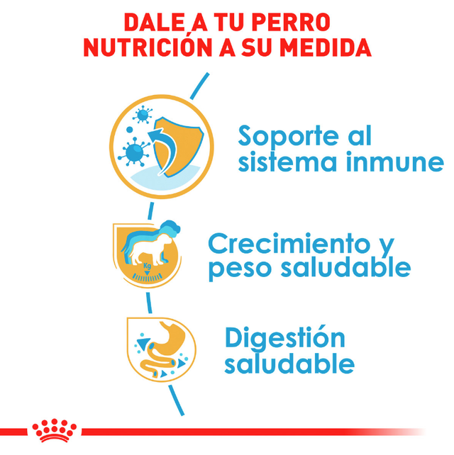 Royal Canin Labrador Retriever Junior 12Kg  Royal Canin Labrador Retriever Junior 12Kg