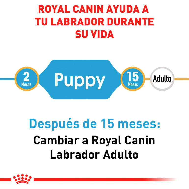 Royal Canin Labrador Retriever Junior 12Kg
