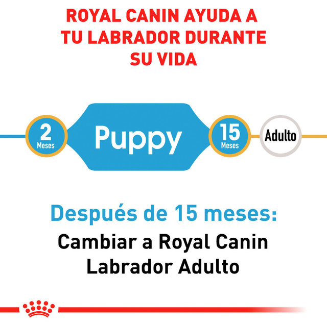 Royal Canin Labrador Retriever Junior 12Kg  Royal Canin Labrador Retriever Junior 12Kg