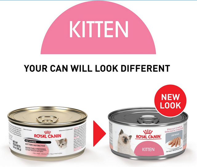Royal Canin Latas Gatito Kitten Pate Pack 24 Unidades  Royal Canin Latas Gatito Kitten Pate Pack 24 Unidades