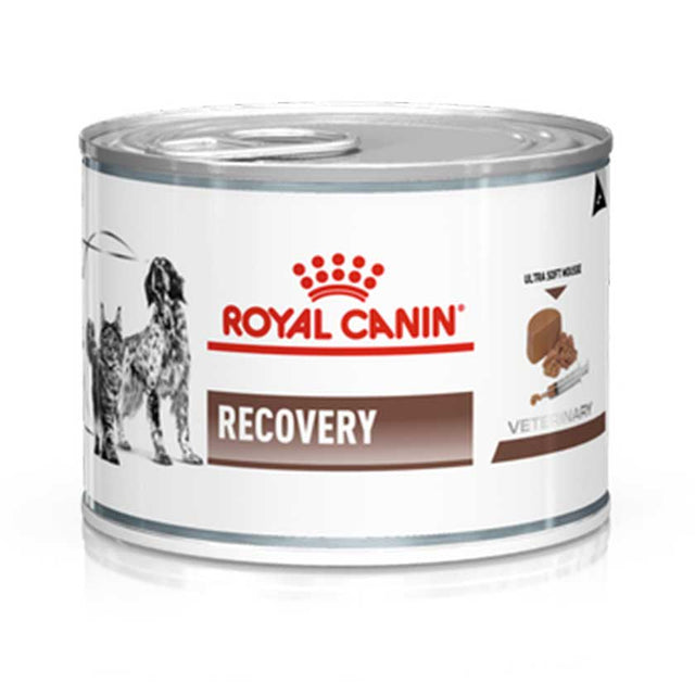 Royal Canin Latas Vet Diet Recovery Feline Canine 145Gr Royal Canin Latas Vet Diet Recovery Feline Canine 145Gr