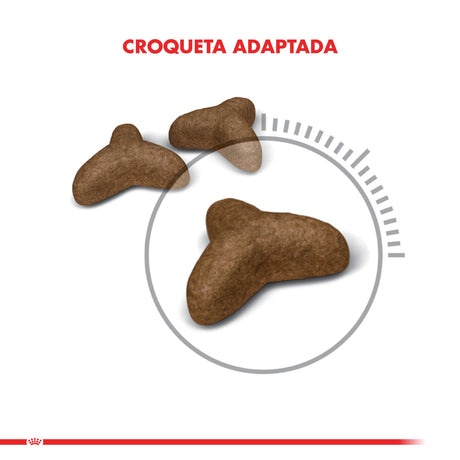 Alimento Seco para Gatos Royal Canin Weight Light 1 5Kg Alimento Seco para Gatos Royal Canin Weight Light 1 5Kg