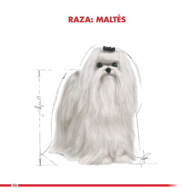Royal Canin Maltes Adulto 1Kg Royal Canin Maltes Adulto 1Kg
