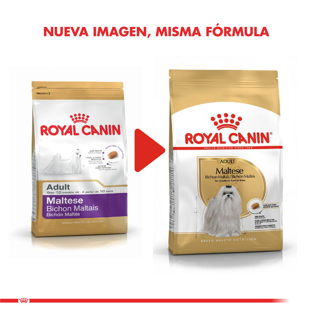 Royal Canin Maltes Adulto 1Kg Royal Canin Maltes Adulto 1Kg