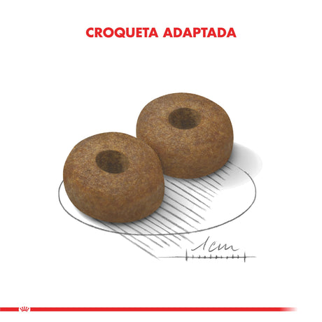 Alimento para Perros Royal Canin Maxi Ageing 8 15Kg Alimento para Perros Royal Canin Maxi Ageing 8 15Kg