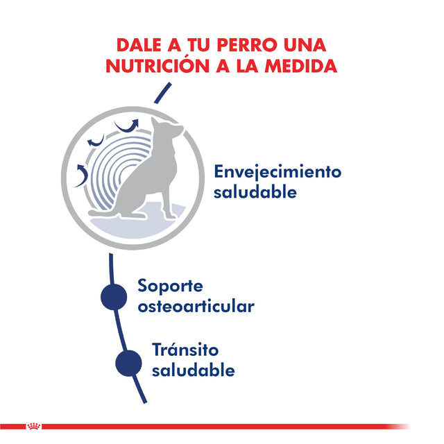 Royal Canin Maxi Ageing 8 15Kg  Royal Canin Maxi Ageing 8 15Kg