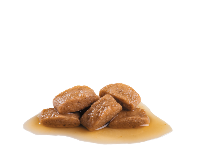 Royal Canin Maxi Adulto Pouch 140Gr X 10 Unidades  Royal Canin Maxi Adulto Pouch 140Gr X 10 Unidades