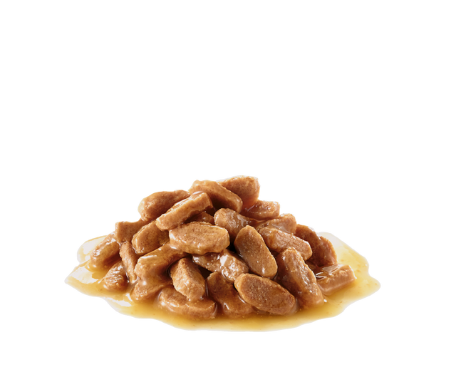 Royal Canin Maxi Puppy Pouch 140Gr X 10 Unidades Royal Canin Maxi Puppy Pouch 140Gr X 10 Unidades