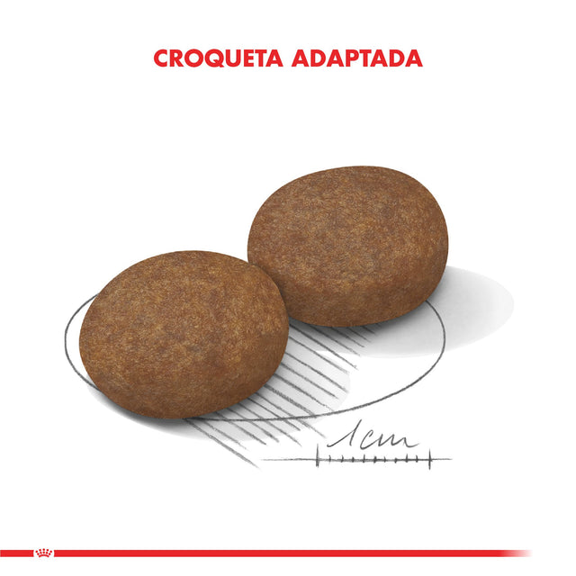 Royal Canin Medium 7 15Kg Royal Canin Medium 7 15Kg