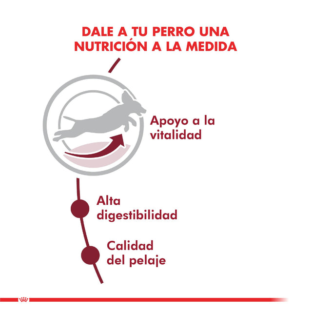 Royal Canin Medium 7 15Kg Royal Canin Medium 7 15Kg