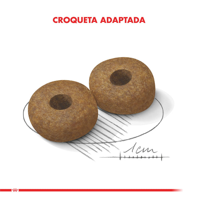 Royal Canin Medium Ageing 10 15Kg Royal Canin Medium Ageing 10 15Kg