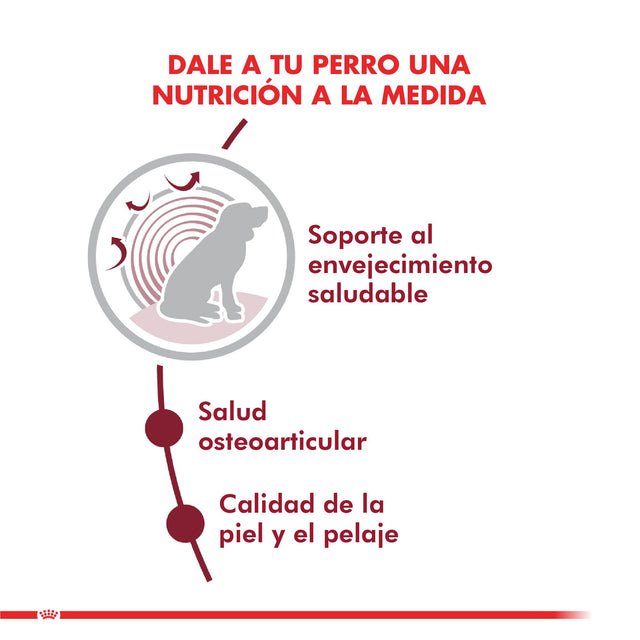 Royal Canin Medium Ageing 10 15Kg Royal Canin Medium Ageing 10 15Kg