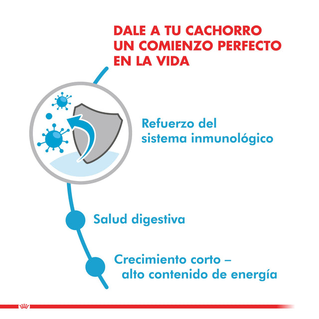 Royal Canin Medium Puppy Pouch Pack 10 Unidades Royal Canin Medium Puppy Pouch Pack 10 Unidades