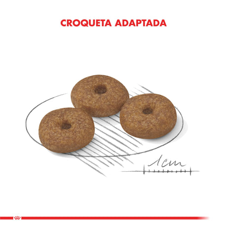 Alimento para Perros Royal Canin Mini Adulto 12 3Kg Alimento para Perros Royal Canin Mini Adulto 12 3Kg