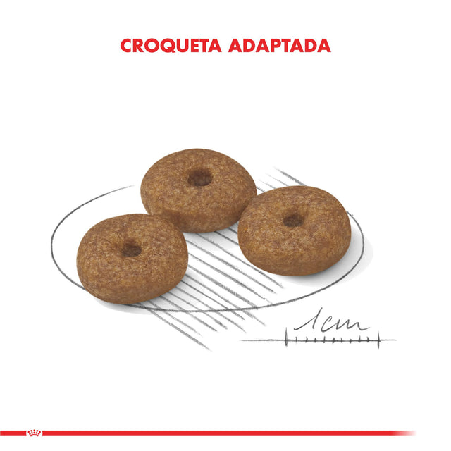 Royal Canin Mini Adulto 12 3Kg Royal Canin Mini Adulto 12 3Kg
