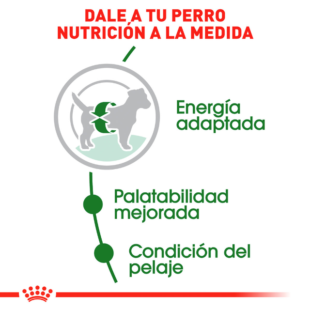 Royal Canin Mini Adulto 2 5Kg Royal Canin Mini Adulto 2 5Kg