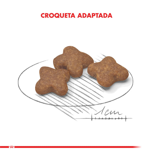 Royal Canin Mini Adulto 8 1Kg Royal Canin Mini Adulto 8 1Kg