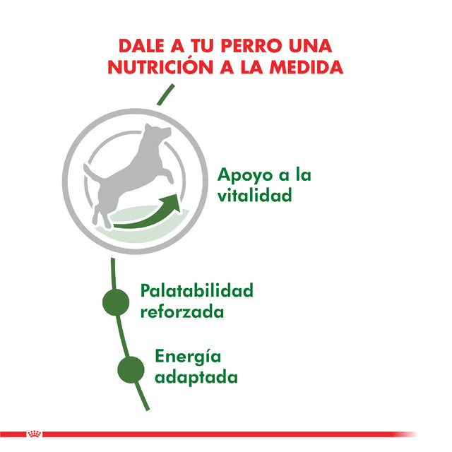 Royal Canin Mini Adulto 8 1Kg Royal Canin Mini Adulto 8 1Kg