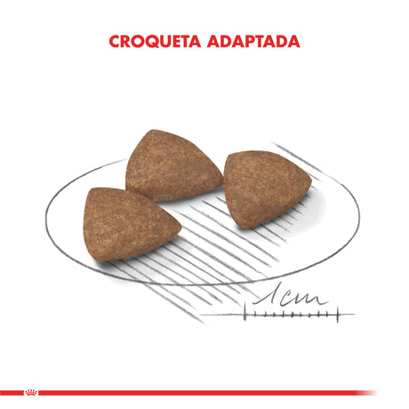 Alimento para Perros Royal Canin Mini Adulto Indoor 3Kg Alimento para Perros Royal Canin Mini Adulto Indoor 3Kg