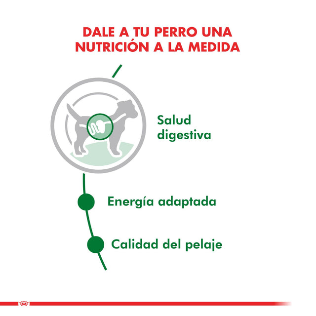 Royal Canin Mini Adulto Pouch Pack 12 Unidades  Royal Canin Mini Adulto Pouch Pack 12 Unidades