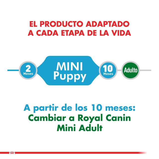 Royal Canin Mini Junior 3Kg Royal Canin Mini Junior 3Kg