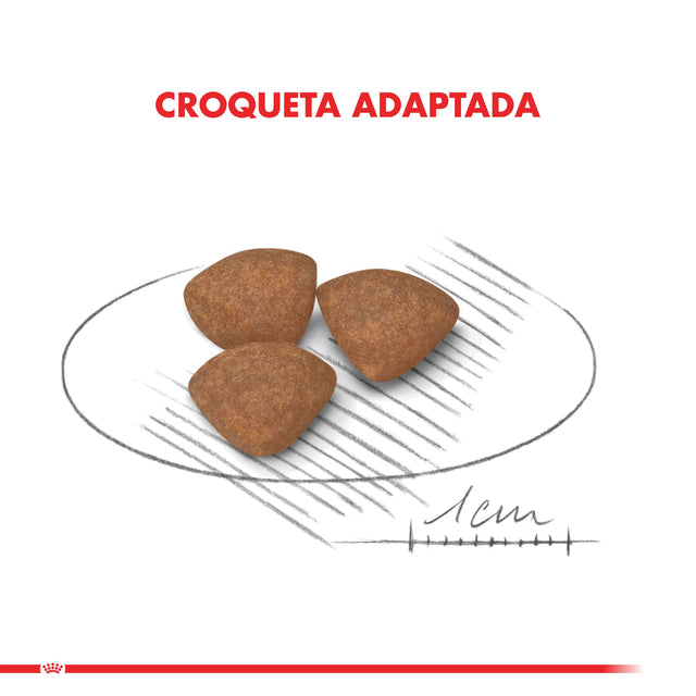 Royal Canin Mini Junior 7 5Kg Royal Canin Mini Junior 7 5Kg