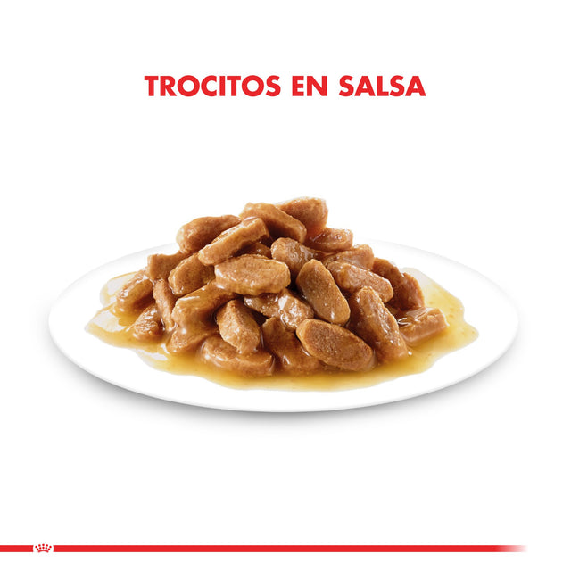 Royal Canin Mini Puppy Pouch Pack 12 Unidades Royal Canin Mini Puppy Pouch Pack 12 Unidades