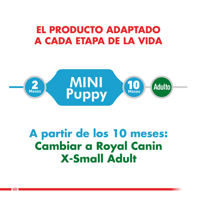 Royal Canin Mini Puppy Pouch Pack 12 Unidades Royal Canin Mini Puppy Pouch Pack 12 Unidades