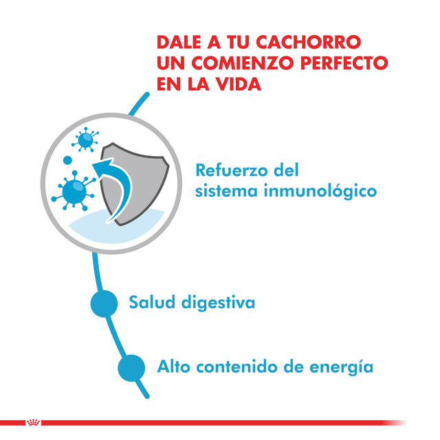 Royal Canin Mini Puppy Pouch Pack 12 Unidades Royal Canin Mini Puppy Pouch Pack 12 Unidades