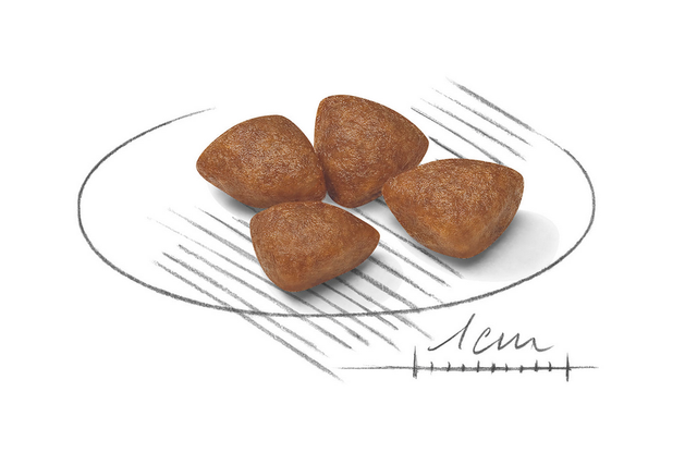 Royal Canin Mini Starter 3Kg Royal Canin Mini Starter 3Kg