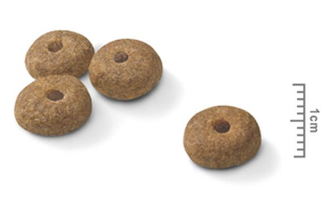 Royal Canin Mini Sterilised 2 5Kg Royal Canin Mini Sterilised 2 5Kg