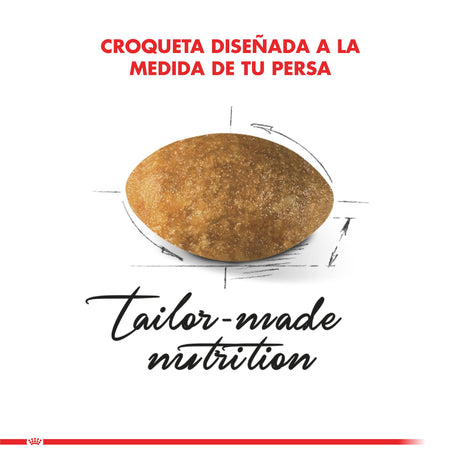 Alimento Seco para Gatos Royal Canin Persian 1 5Kg Alimento Seco para Gatos Royal Canin Persian 1 5Kg