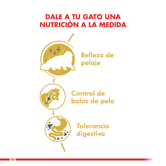 Royal Canin Persian 1 5Kg  Royal Canin Persian 1 5Kg