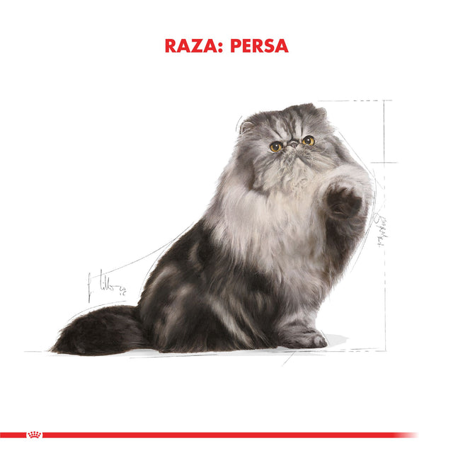 Royal Canin Persian 1 5Kg  Royal Canin Persian 1 5Kg