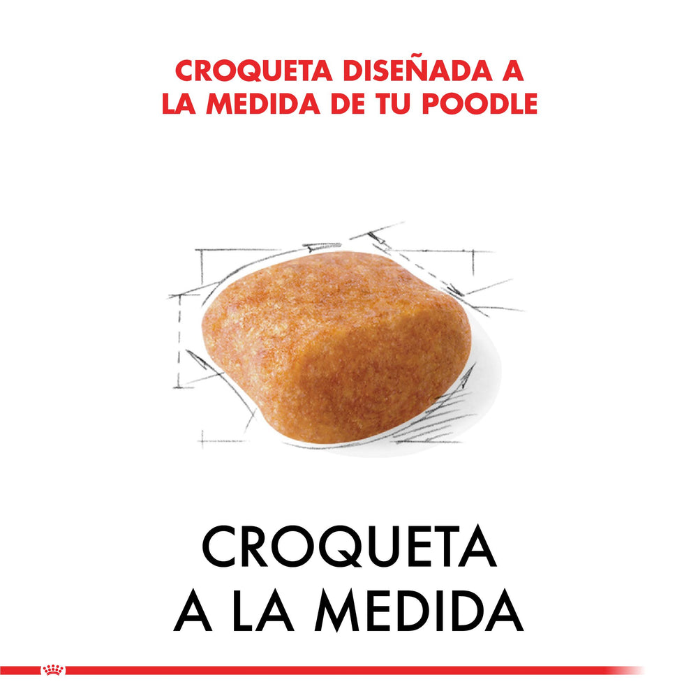 Royal Canin Poodle Adulto 3Kg