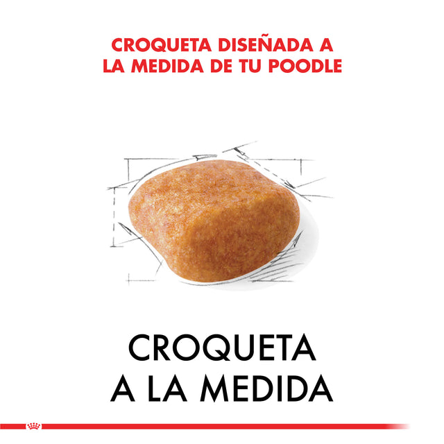 Royal Canin Poodle Adulto 2 5Kg Royal Canin Poodle Adulto 2 5Kg