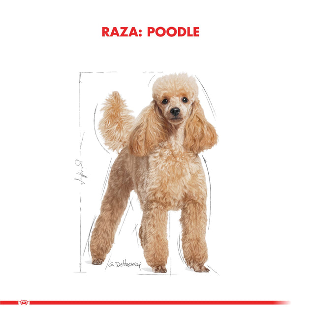Royal Canin Poodle Adulto 2 5Kg Royal Canin Poodle Adulto 2 5Kg