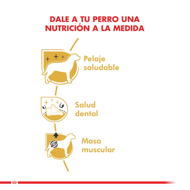 Royal Canin Poodle Adulto 2 5Kg Royal Canin Poodle Adulto 2 5Kg