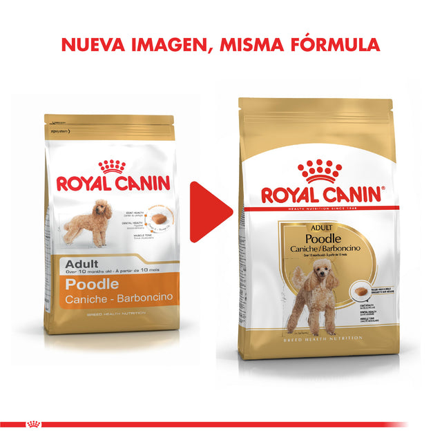 Royal Canin Poodle Adulto 2 5Kg Royal Canin Poodle Adulto 2 5Kg