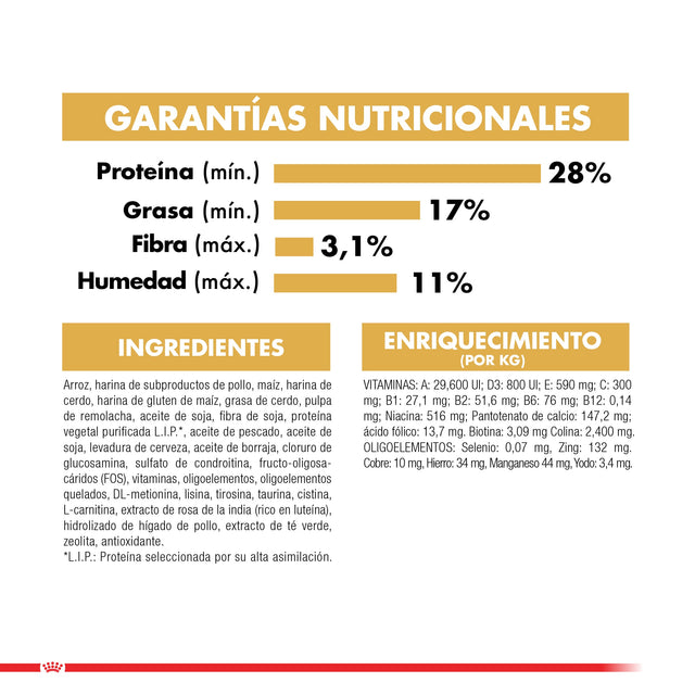 Royal Canin Poodle Adulto 2 5Kg Royal Canin Poodle Adulto 2 5Kg