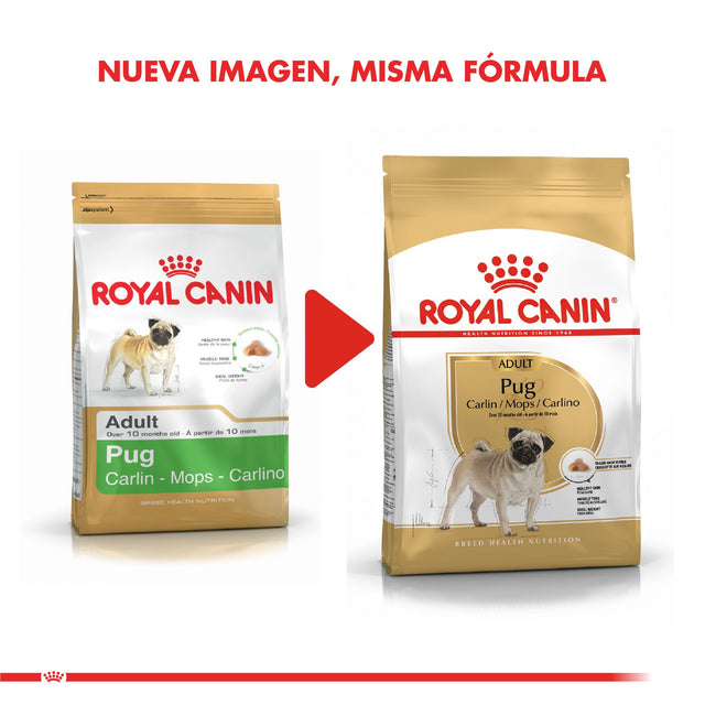 Royal Canin Pug Adulto 2 5Kg Royal Canin Pug Adulto 2 5Kg