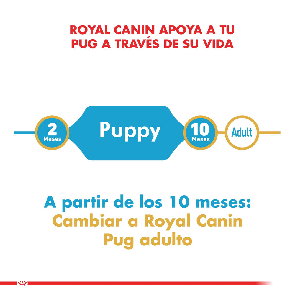 Royal Canin Pug Junior 2 5Kg