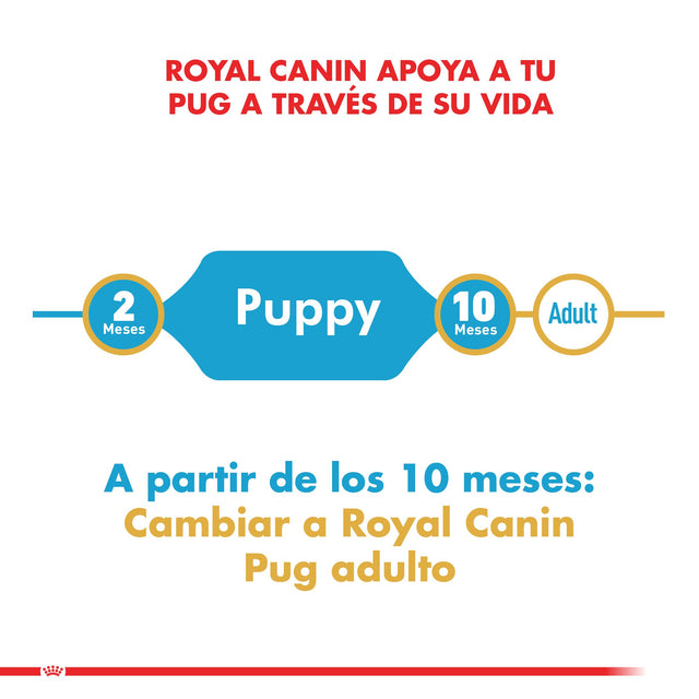 Royal Canin Pug Junior 2 5Kg  Royal Canin Pug Junior 2 5Kg
