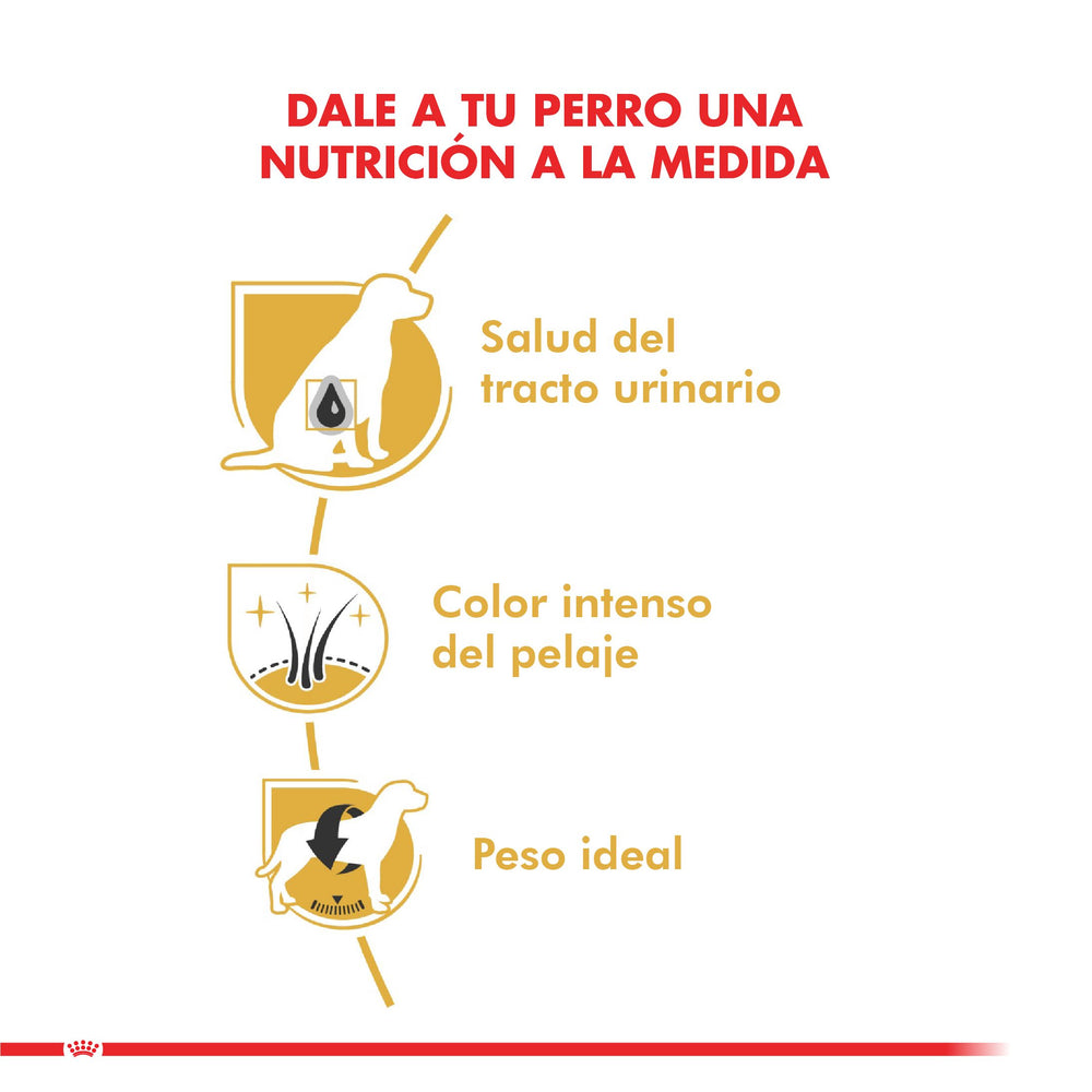 Royal Canin Schnauzer Adulto 2 5Kg